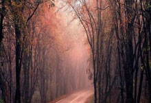 天涯论坛杂谈社区：网友们的吐槽和分享天堂！